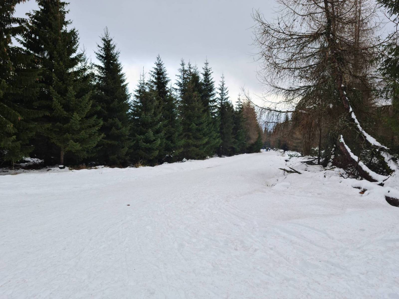 Zdjęcie 6