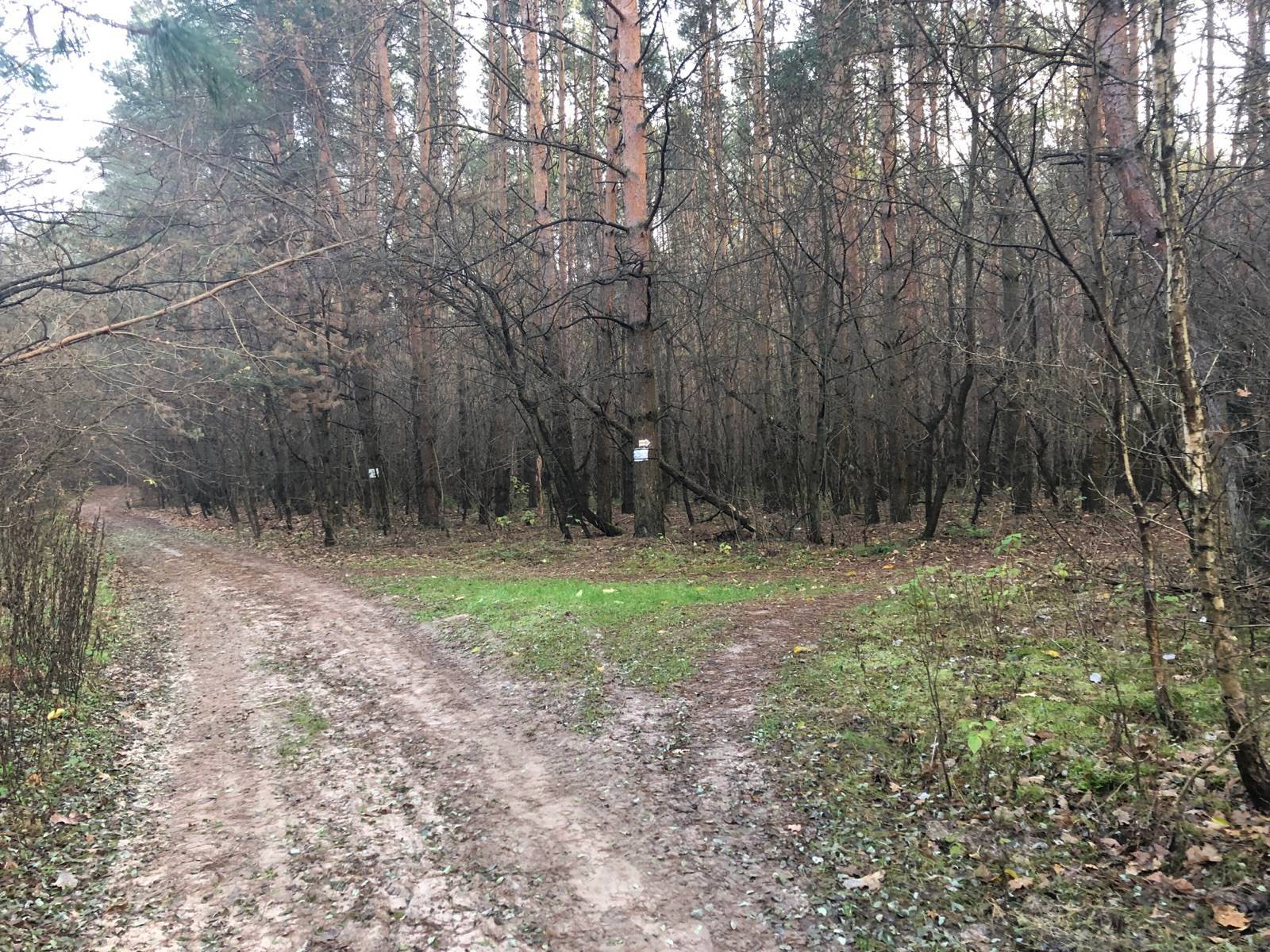 Zdjęcie 3