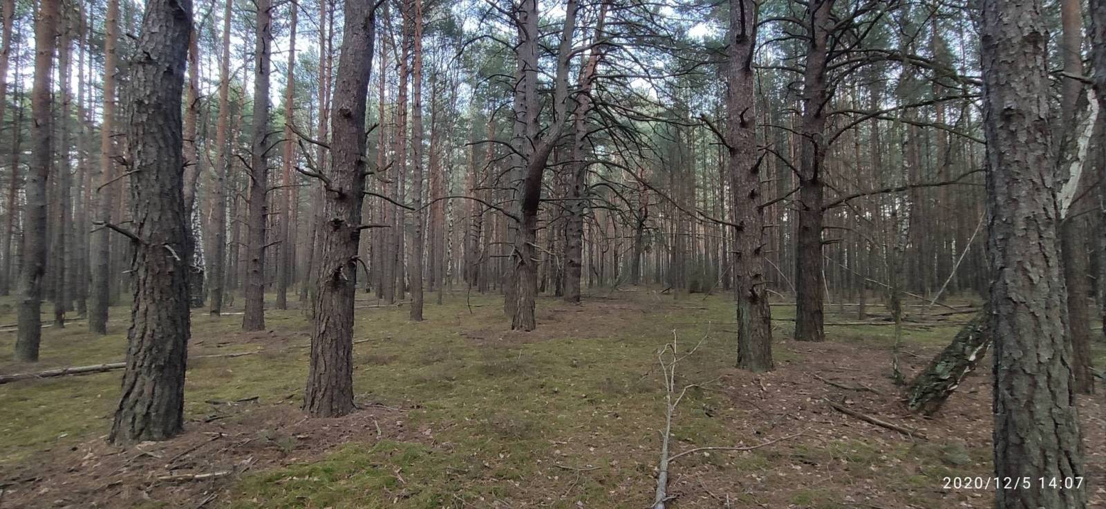 Zdjęcie 3