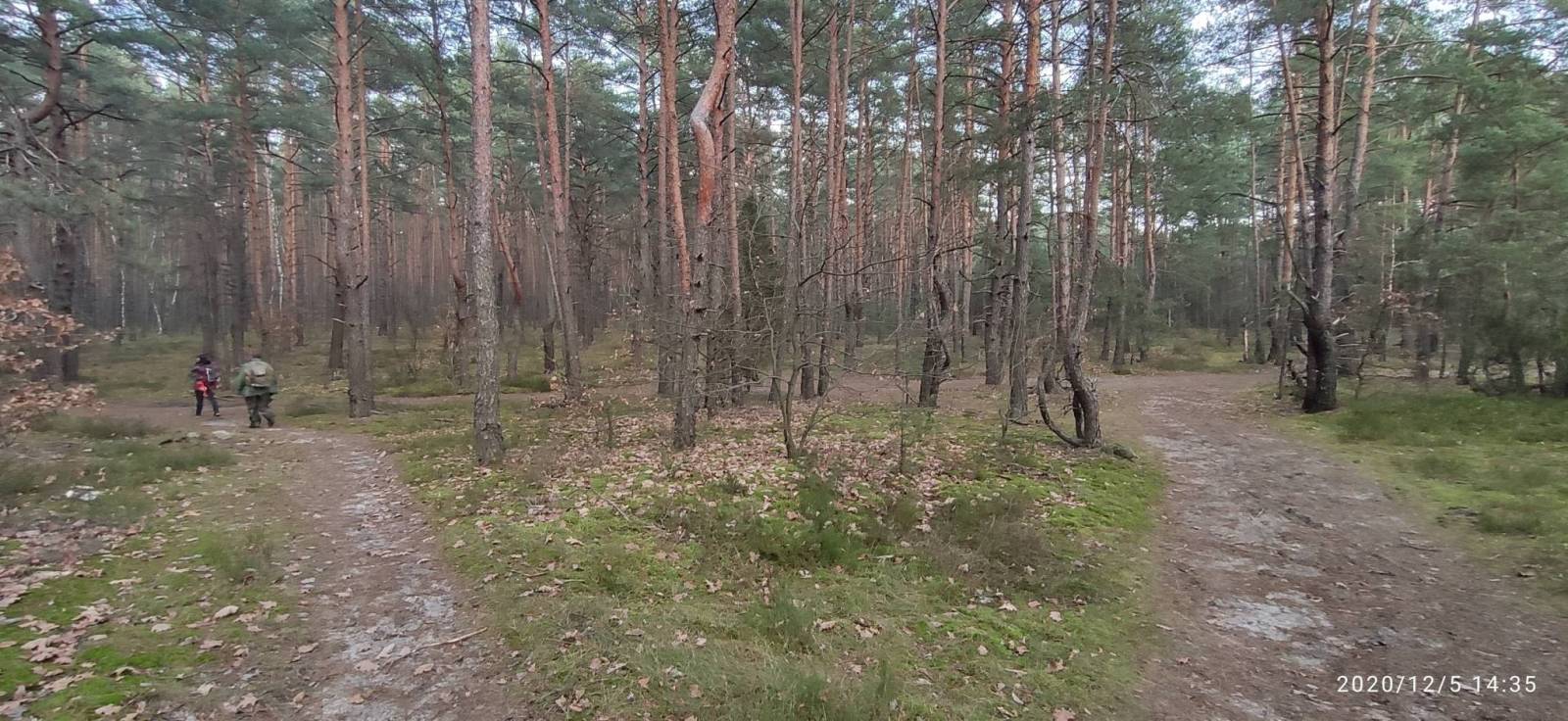 Zdjęcie 5