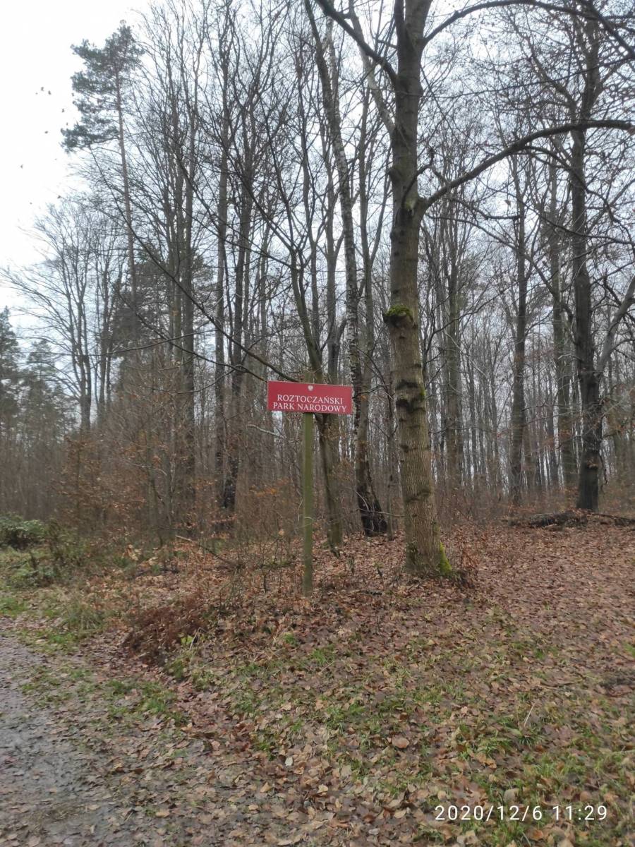 Zdjęcie 3