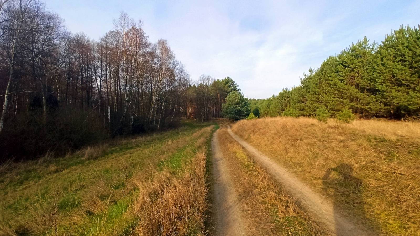 Zdjęcie 6