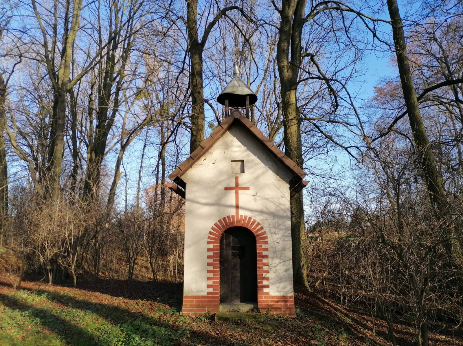 Zdjęcie 6