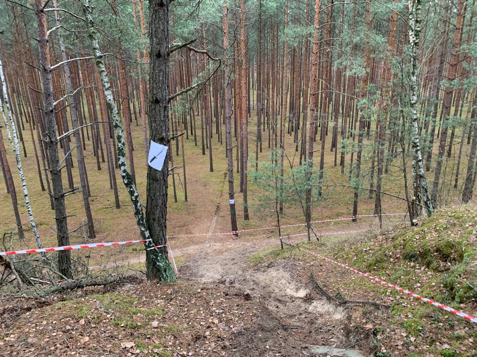 Zdjęcie 4