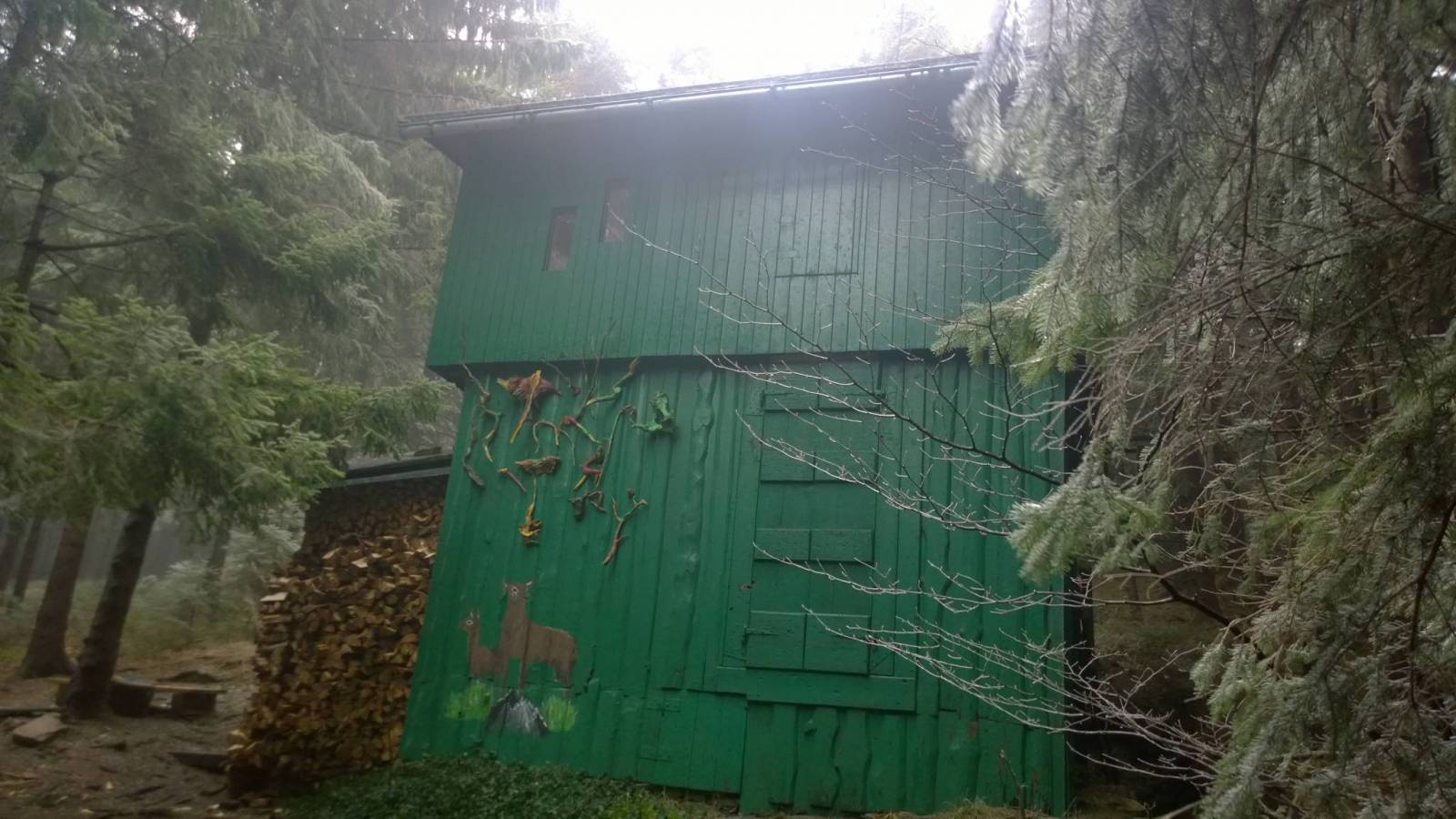 Zdjęcie 3