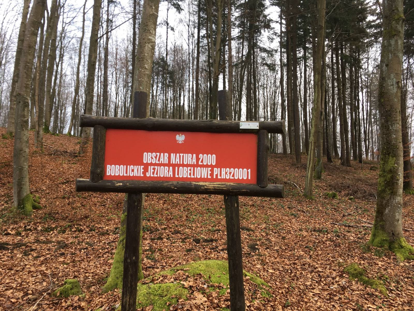 Zdjęcie 6