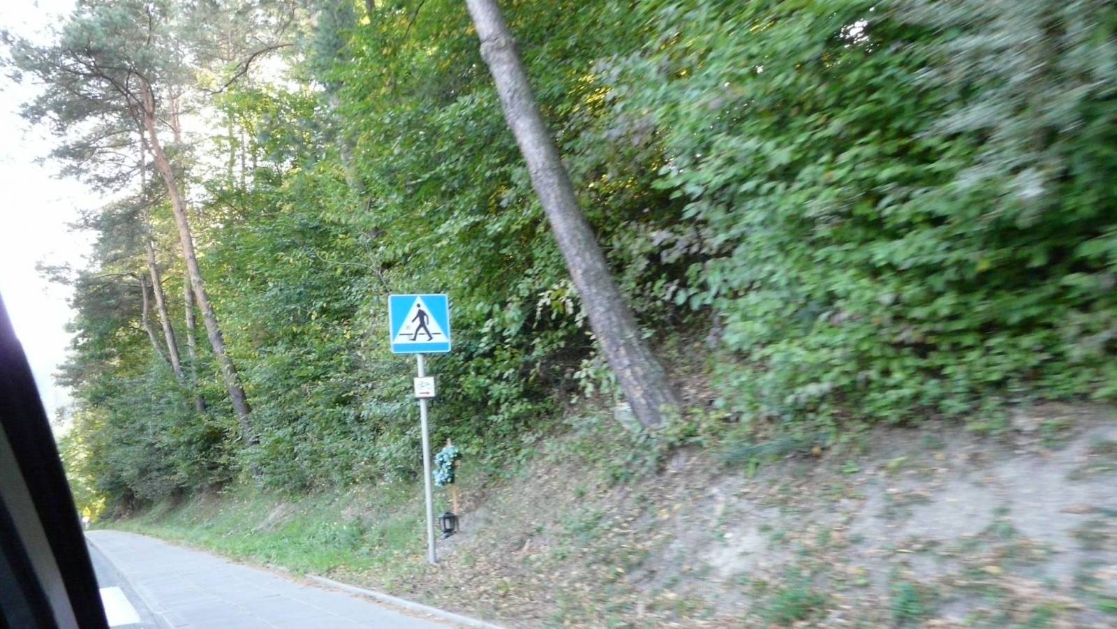 Zdjęcie 5