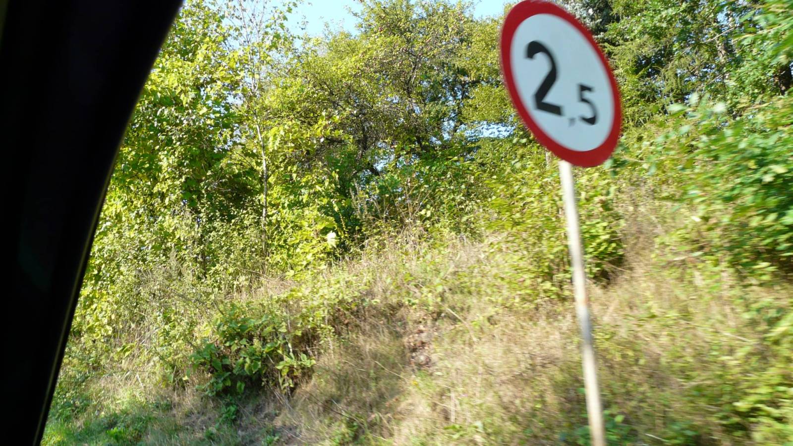 Zdjęcie 6