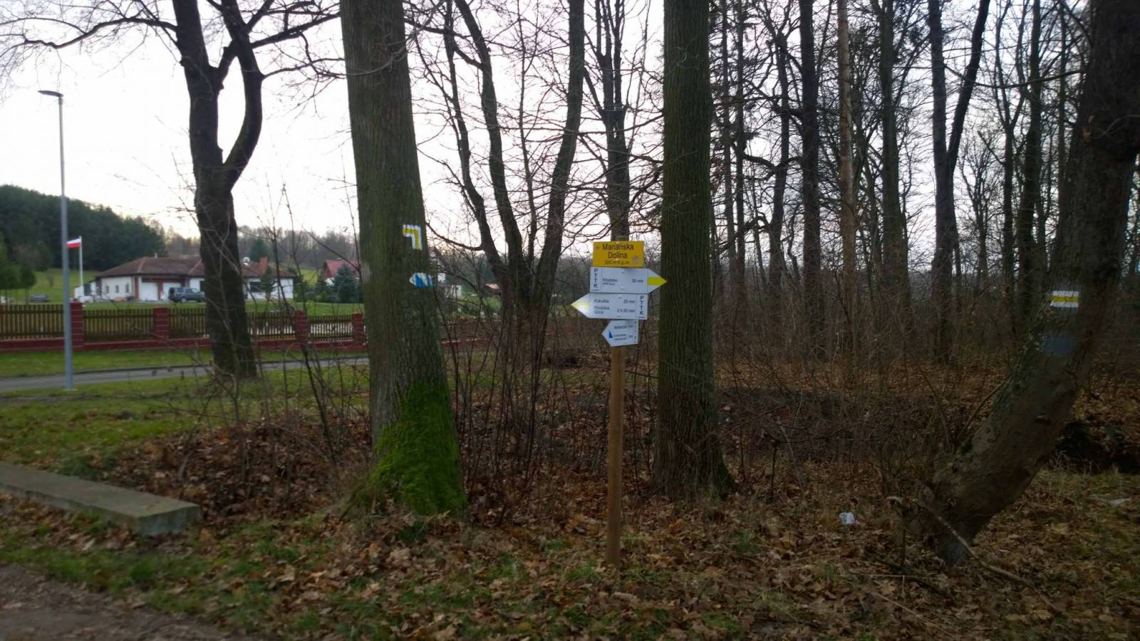 Zdjęcie 2