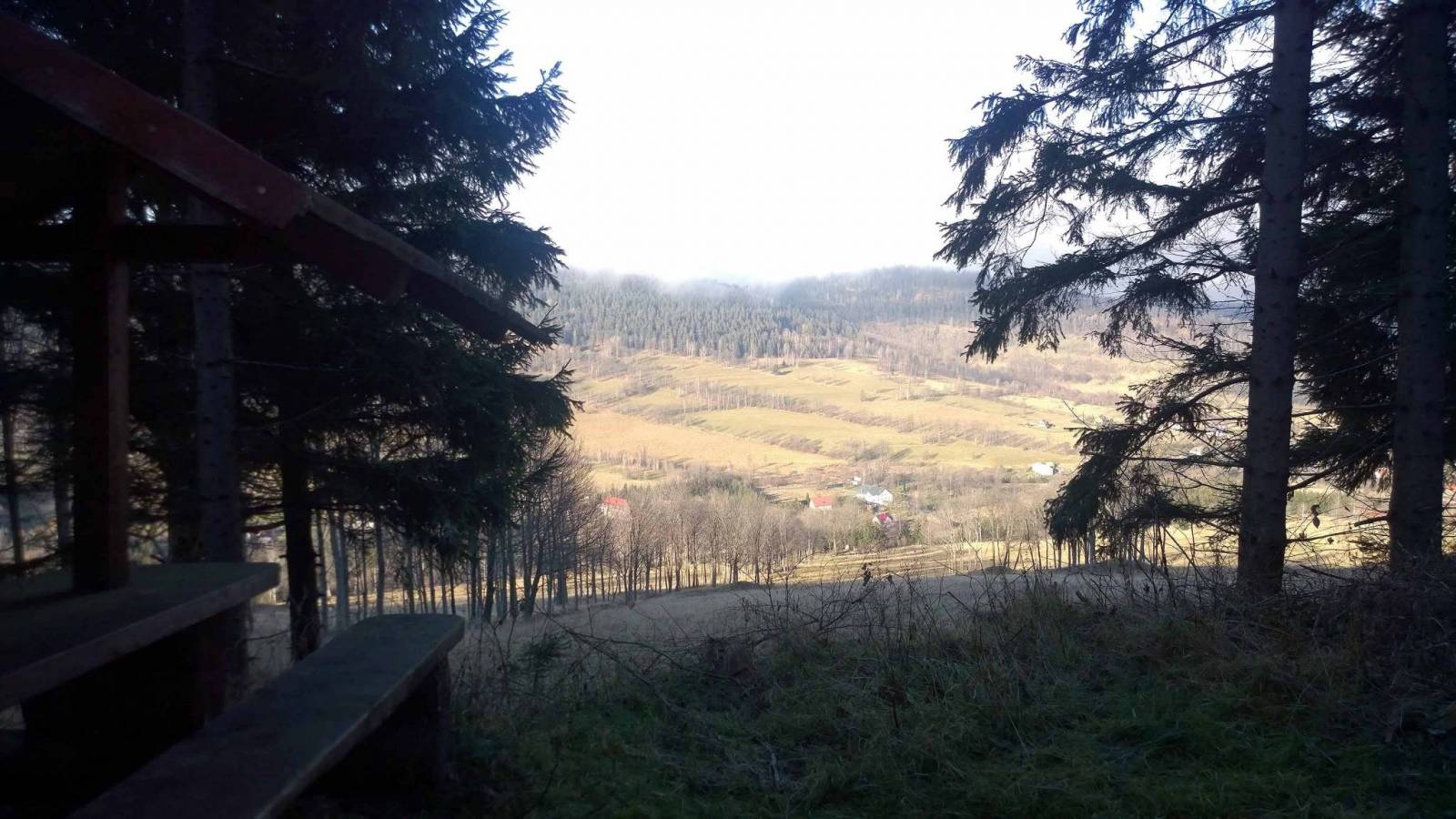 Zdjęcie 5