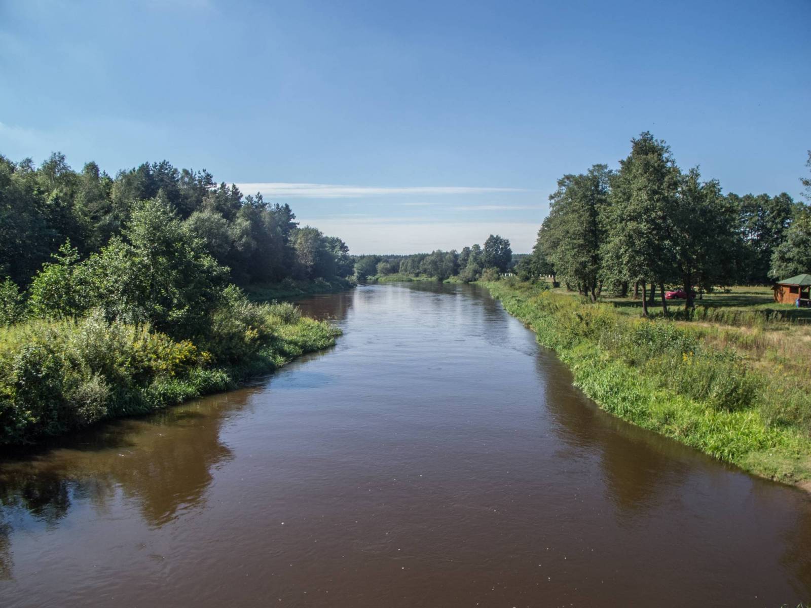Zdjęcie 6