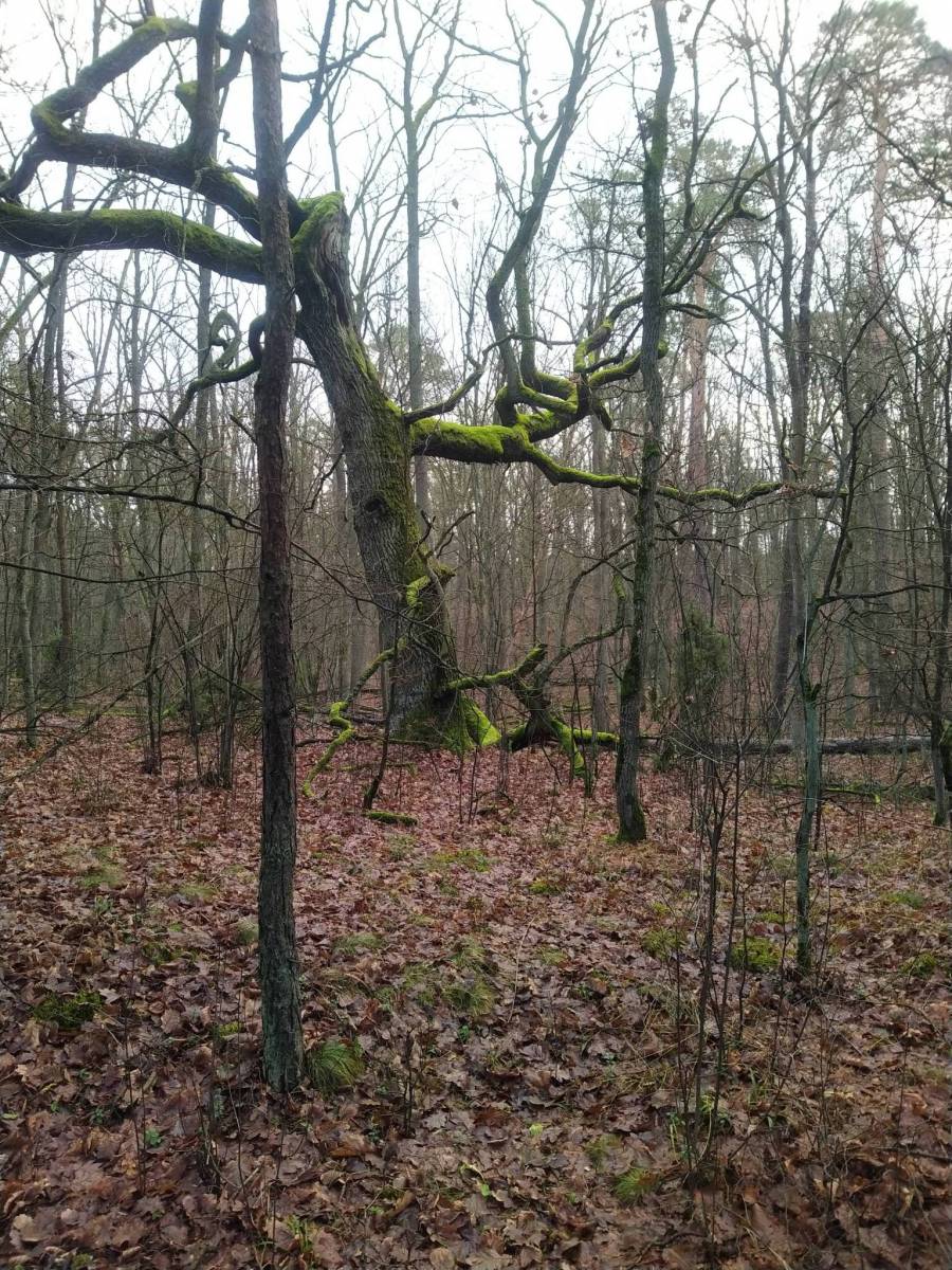 Zdjęcie 3