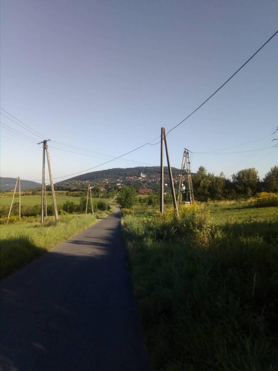 Zdjęcie 6