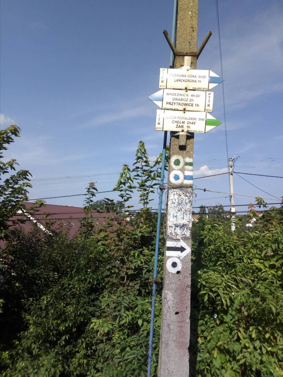 Zdjęcie 2