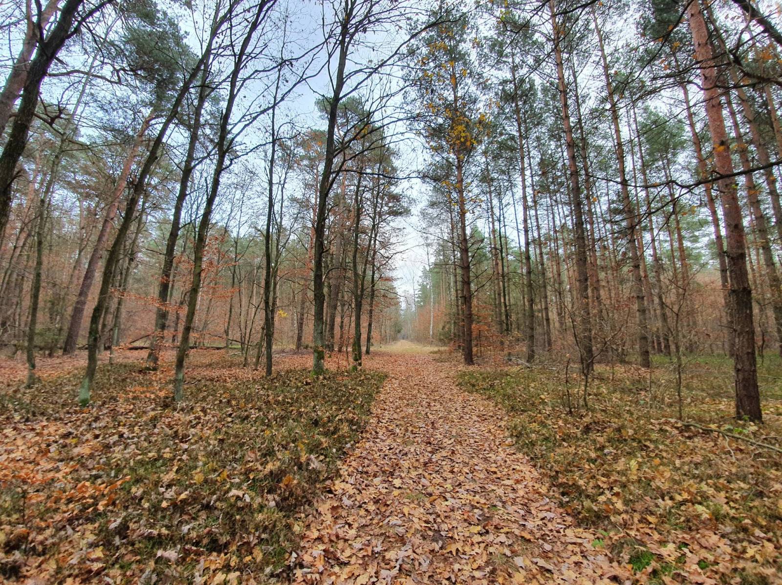 Zdjęcie 3