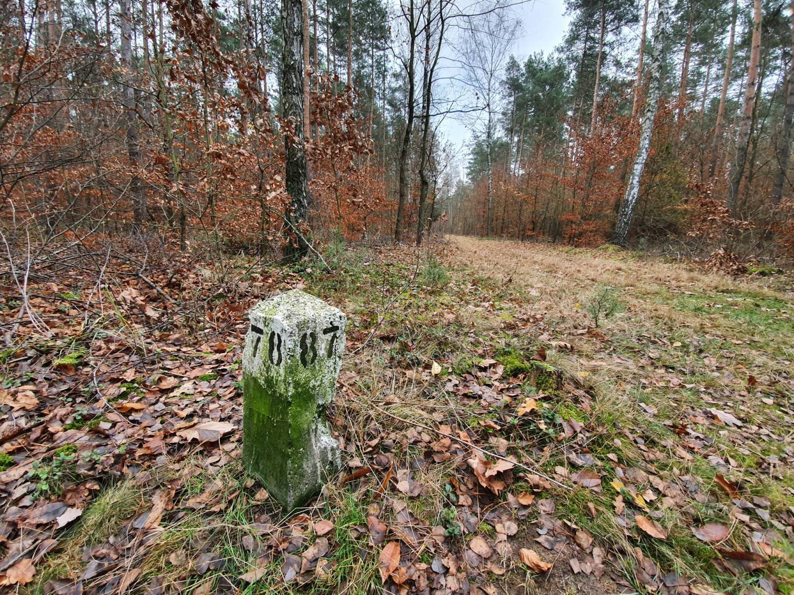 Zdjęcie 4
