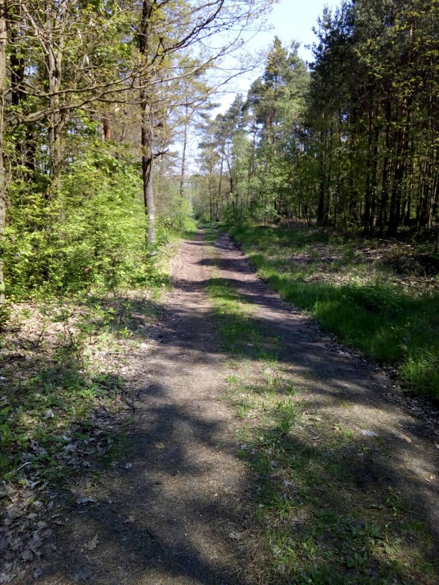 Zdjęcie 4