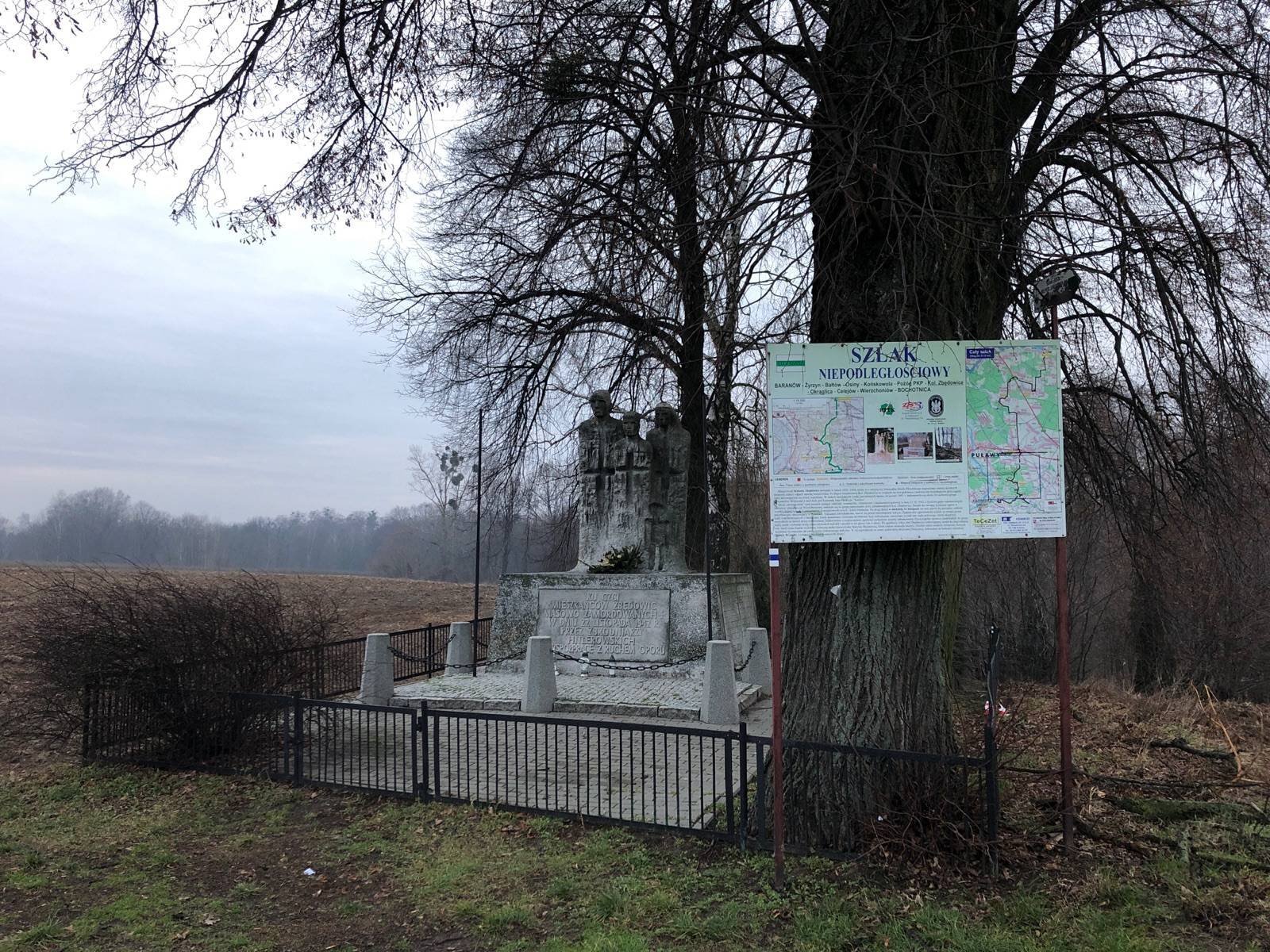 Zdjęcie 3