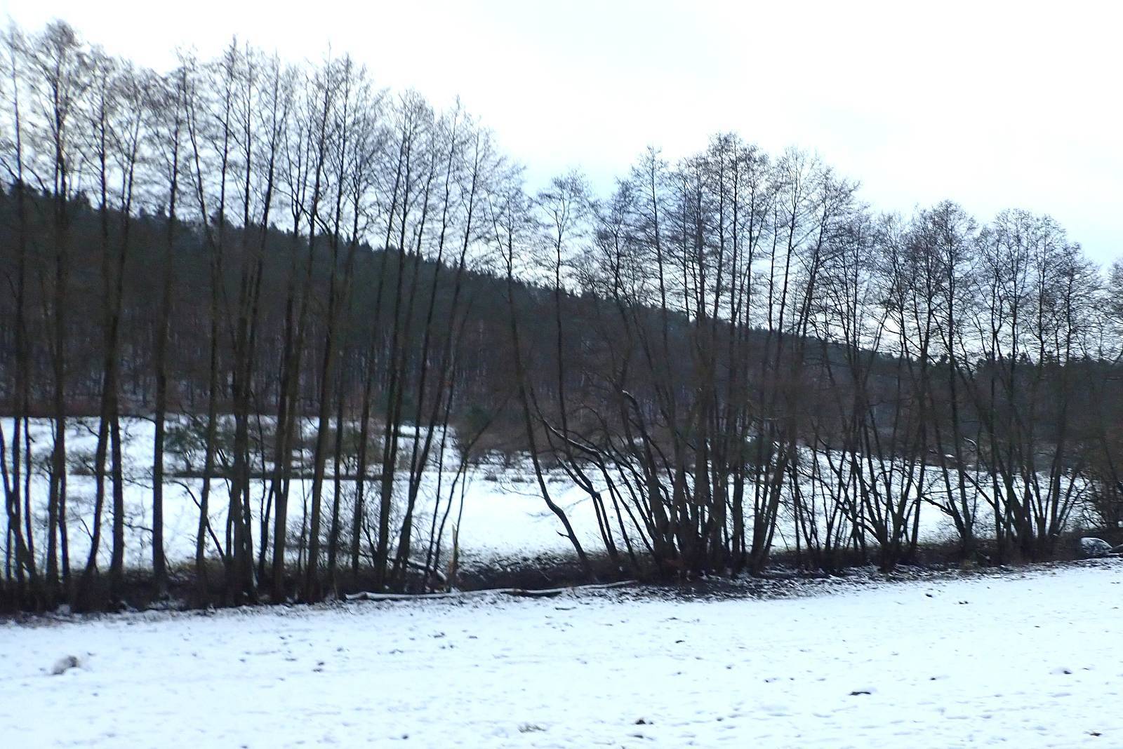 Zdjęcie 2