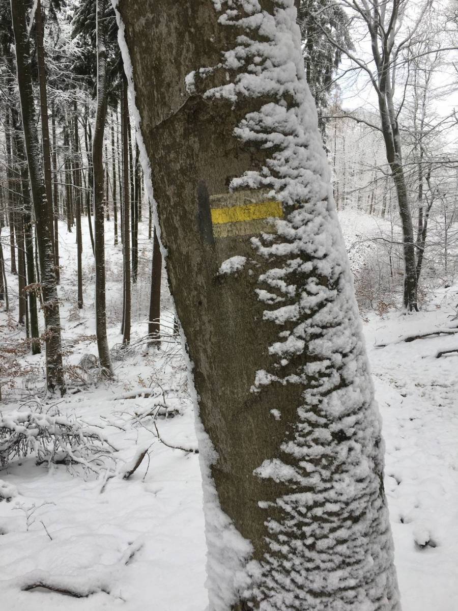 Zdjęcie 2