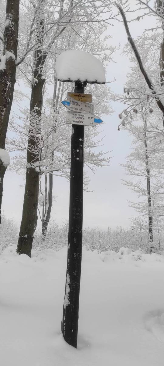 Zdjęcie 5