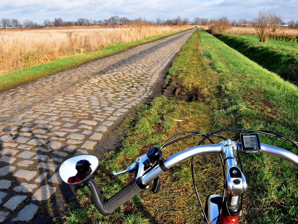 Zdjęcie 5