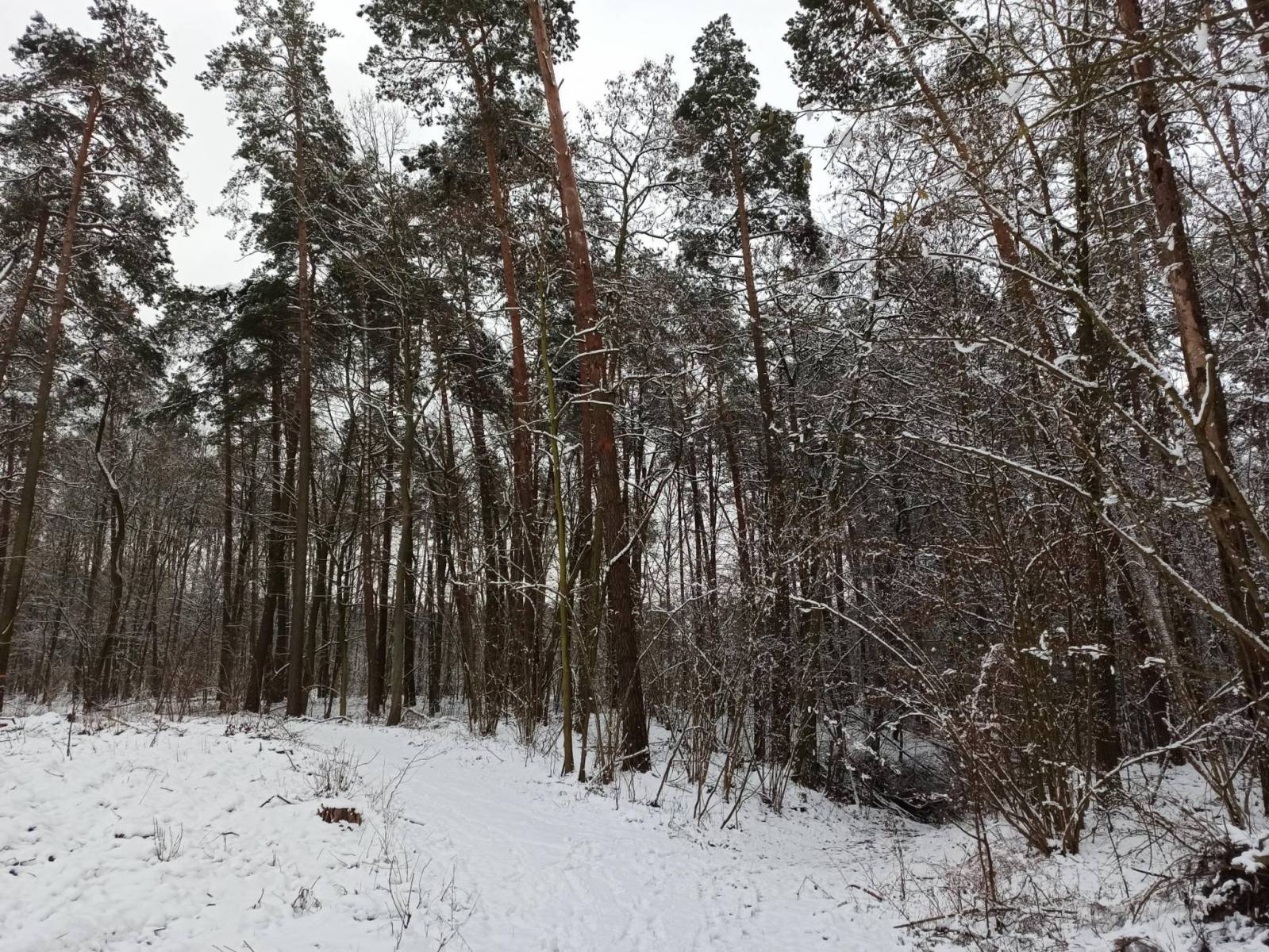 Zdjęcie 2