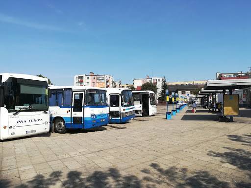 Zdjęcie 5