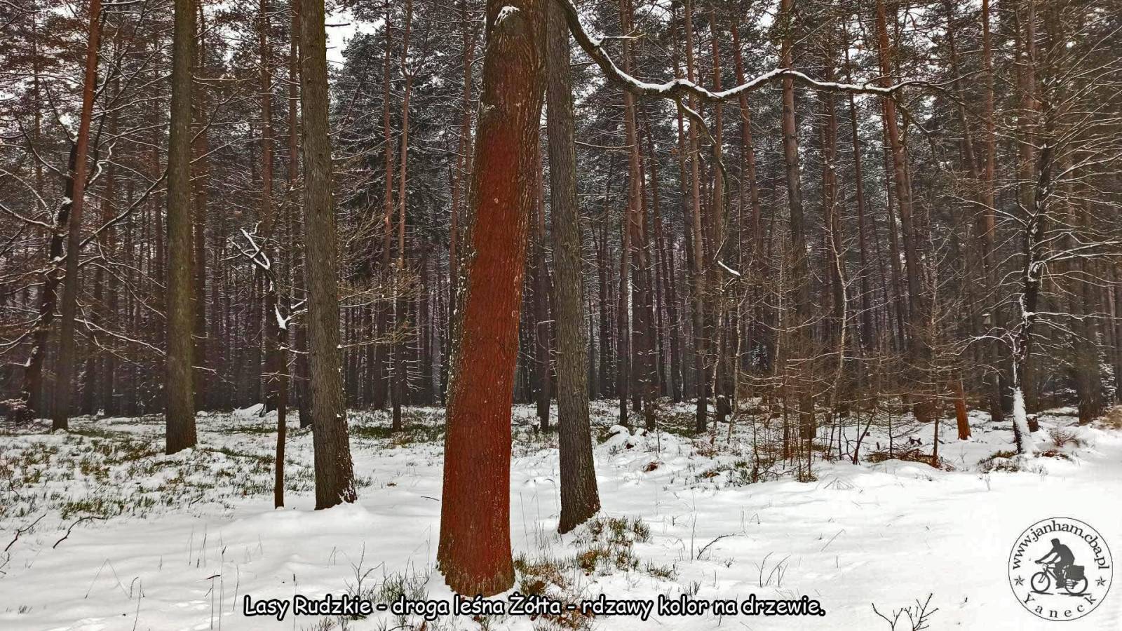 Zdjęcie 4