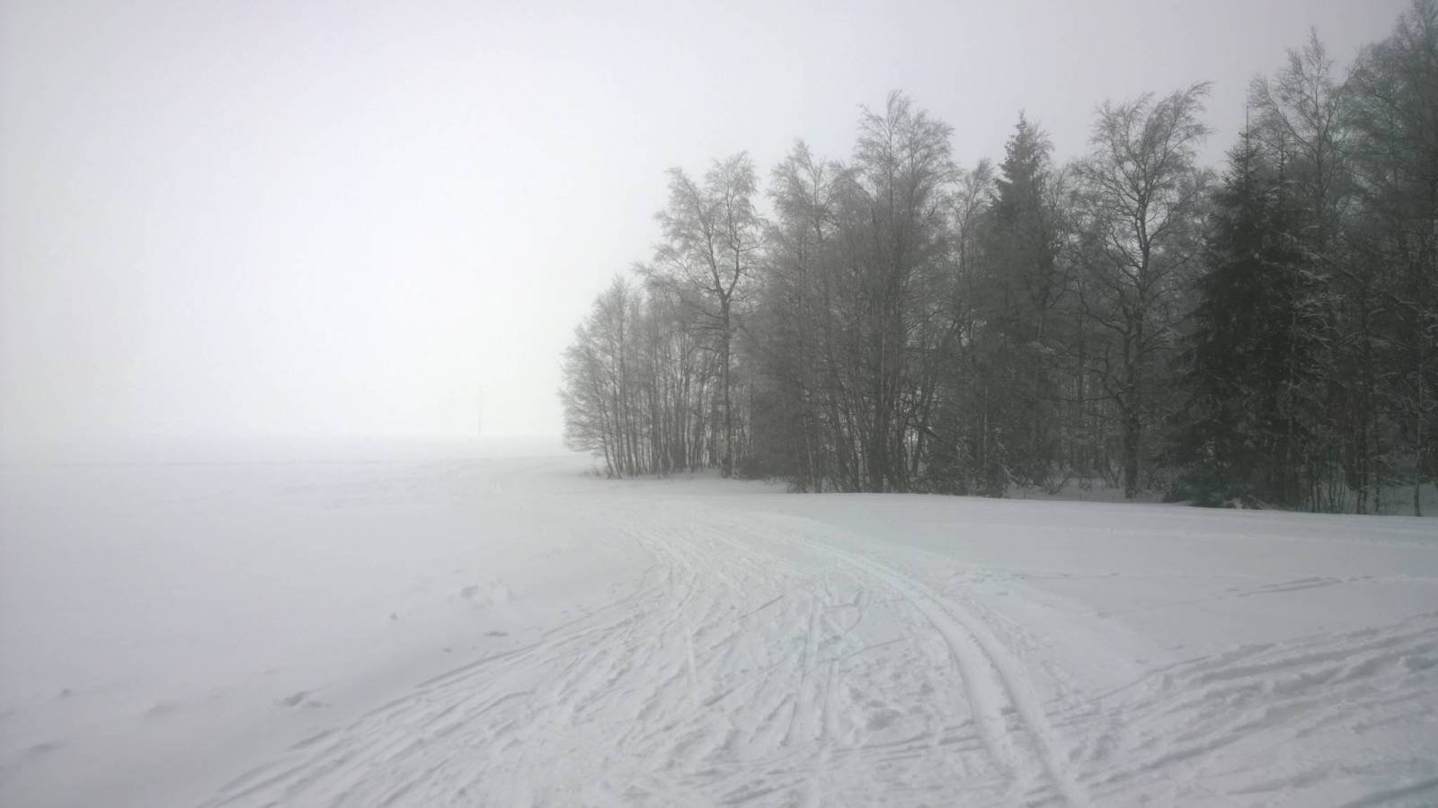 Zdjęcie 4