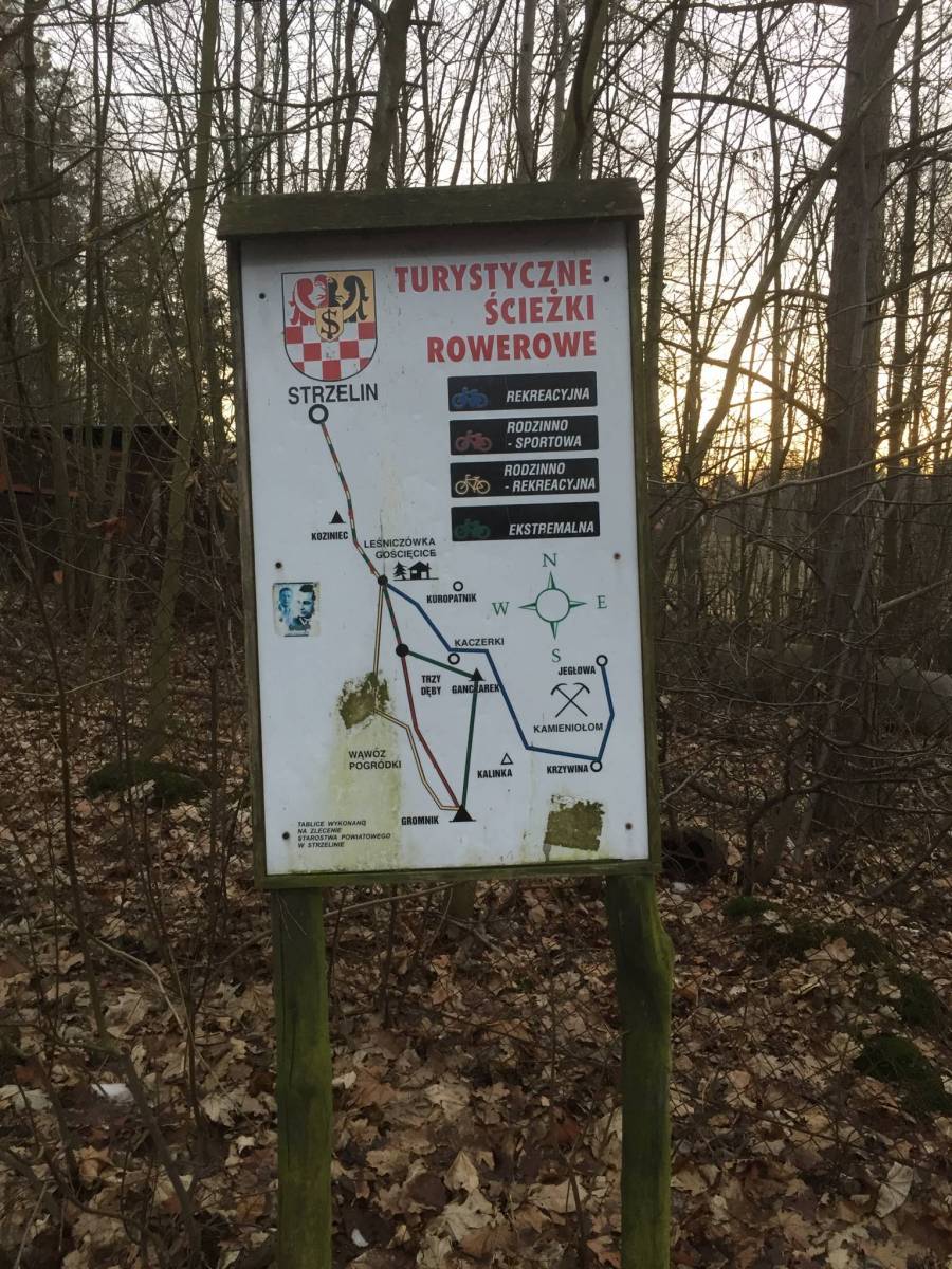 Zdjęcie 6