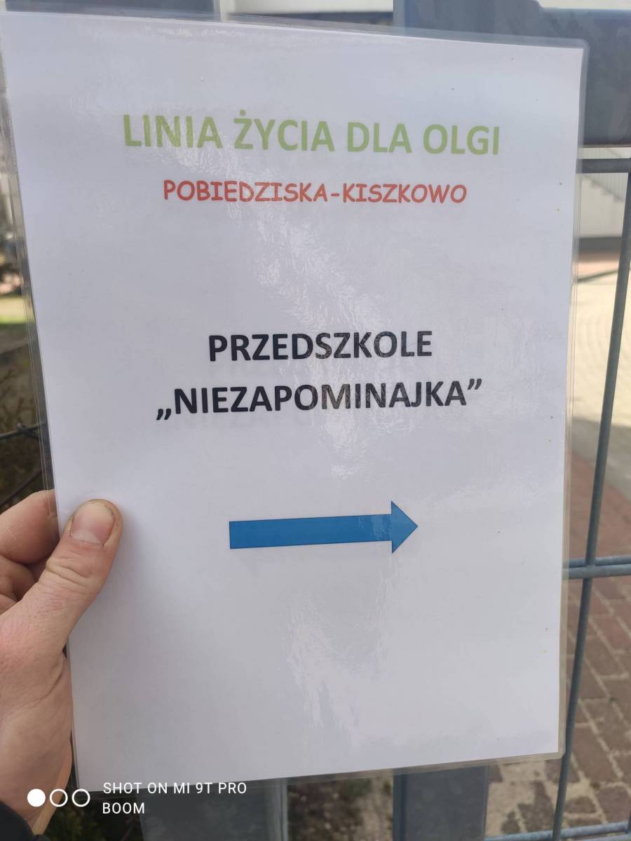 Zdjęcie 6
