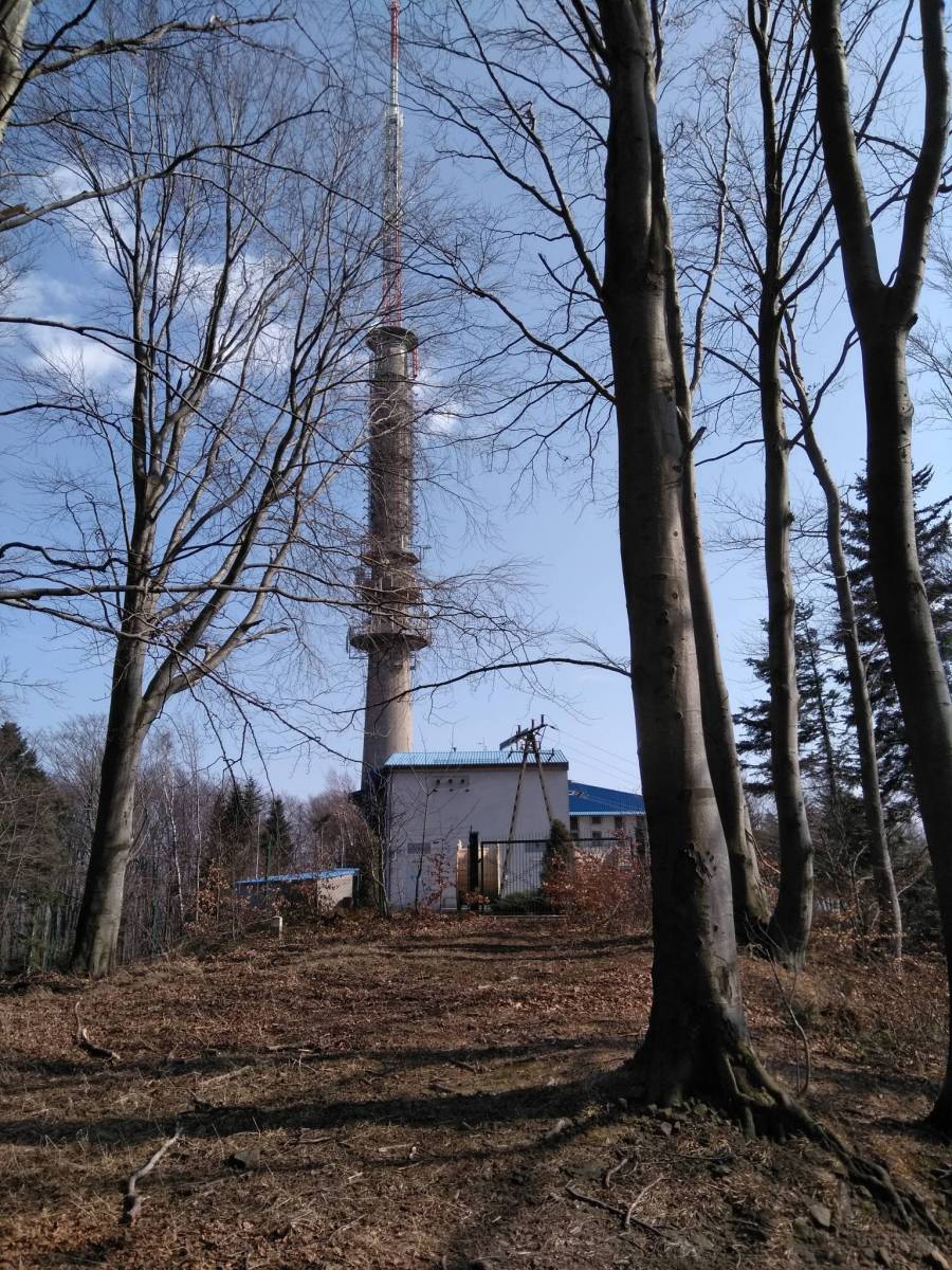 Zdjęcie 6