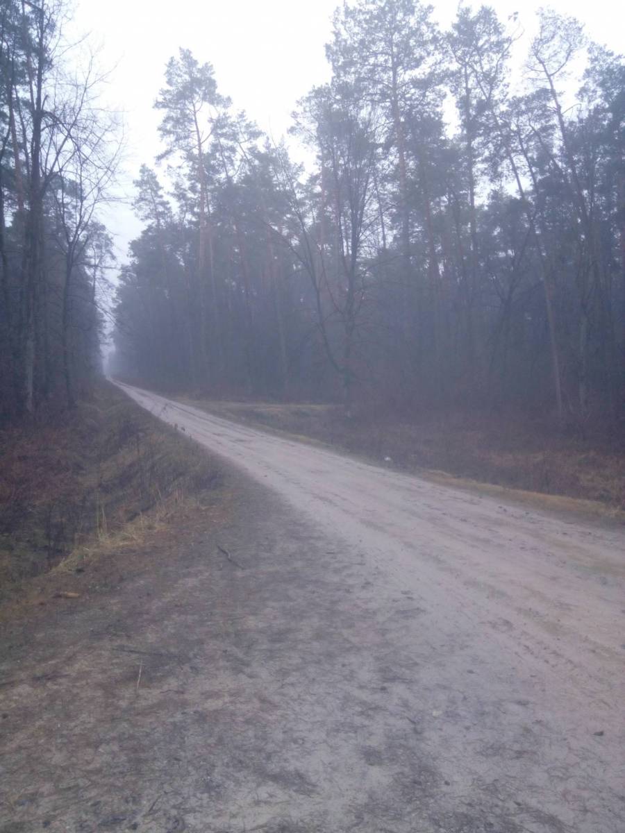Zdjęcie 5