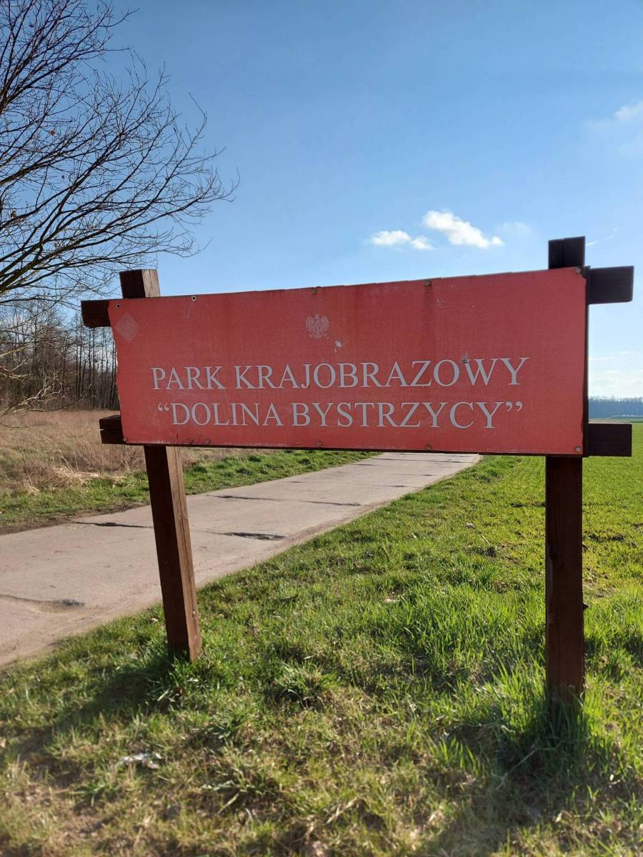 Zdjęcie 2