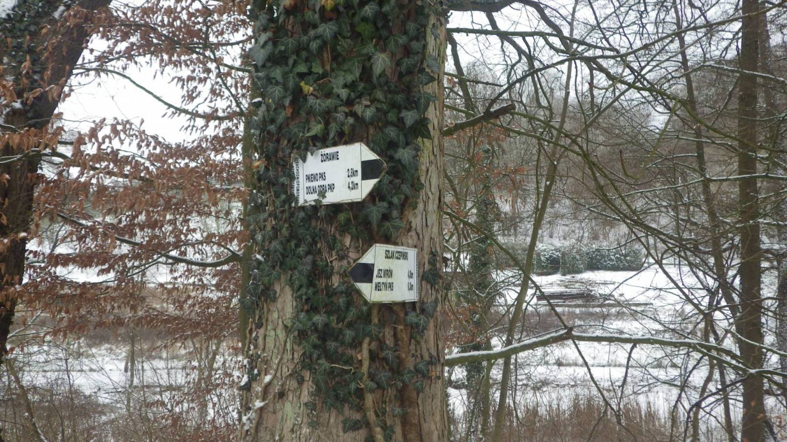 Zdjęcie 4
