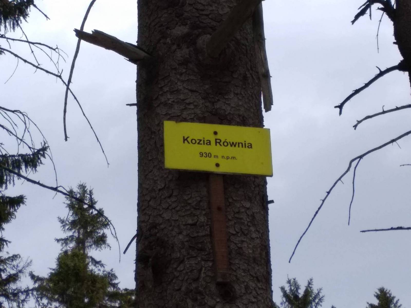 Zdjęcie 2
