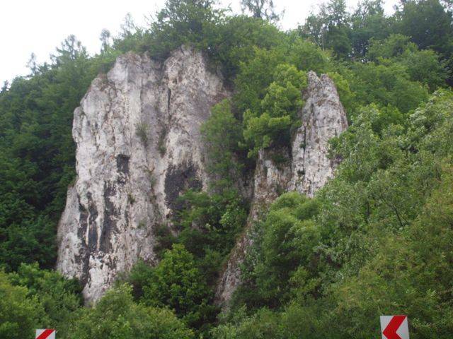 Zdjęcie 4