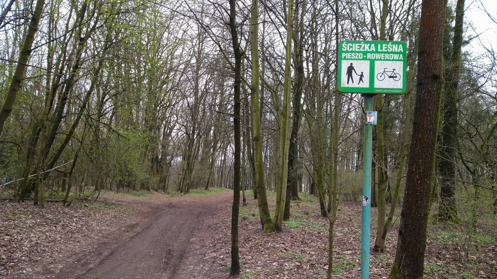 Zdjęcie 6