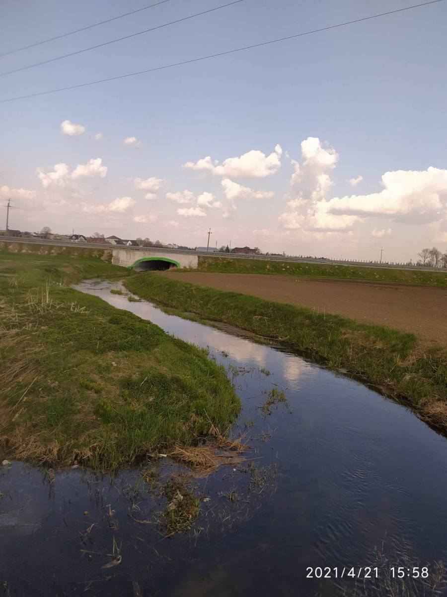 Zdjęcie 5