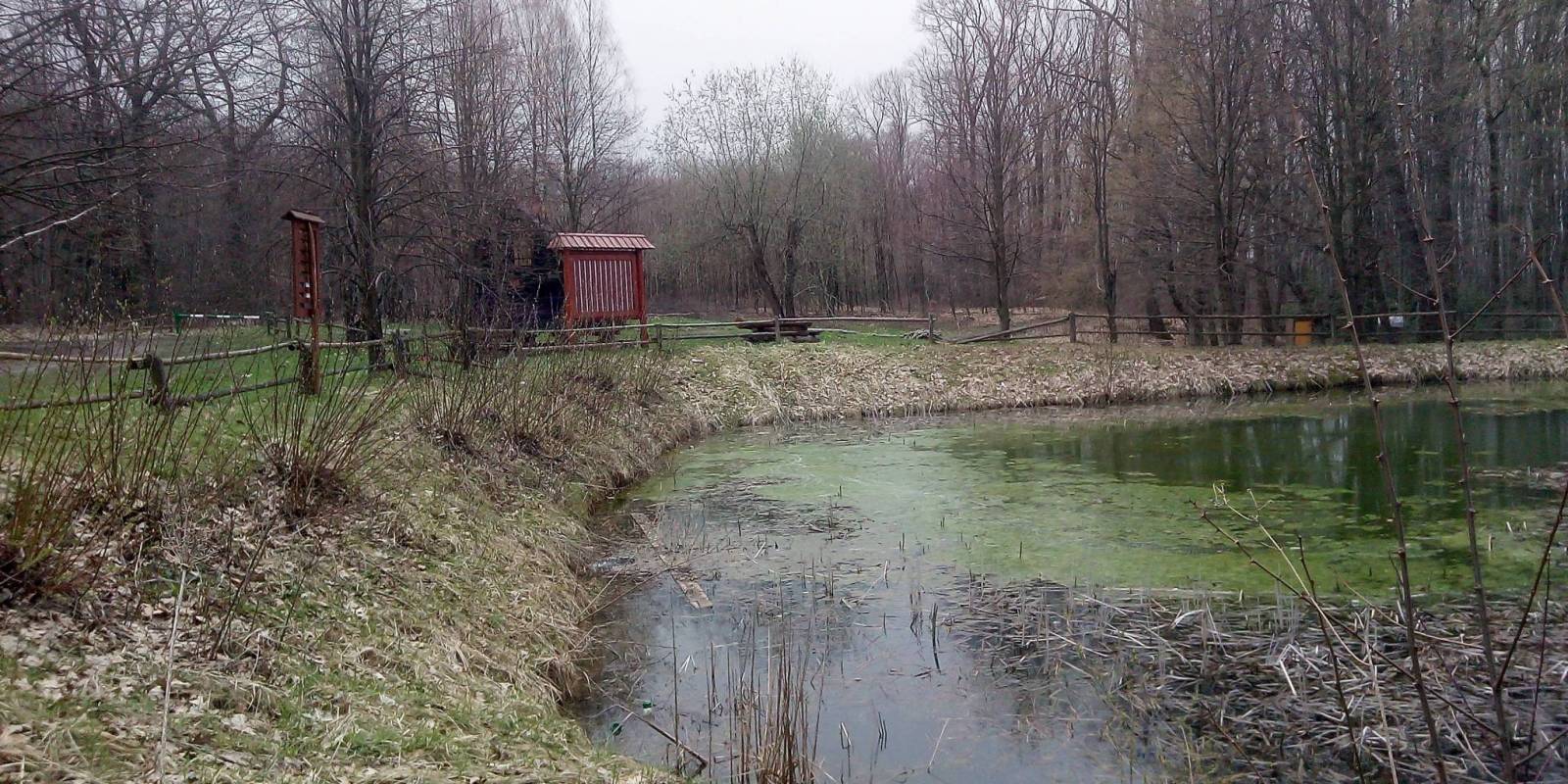 Zdjęcie 4