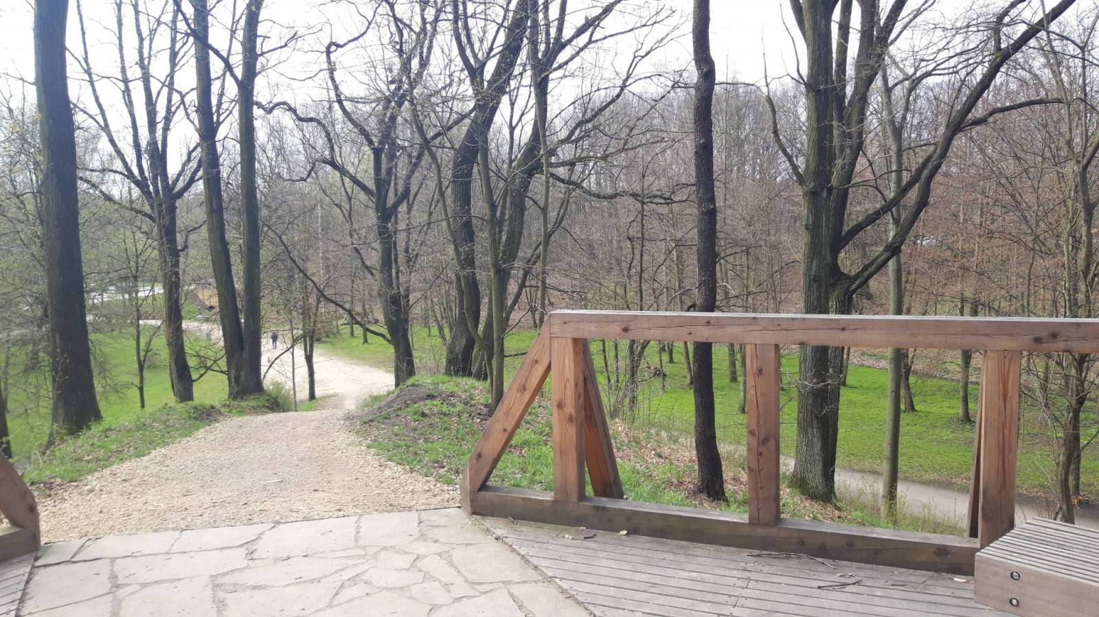 Zdjęcie 3