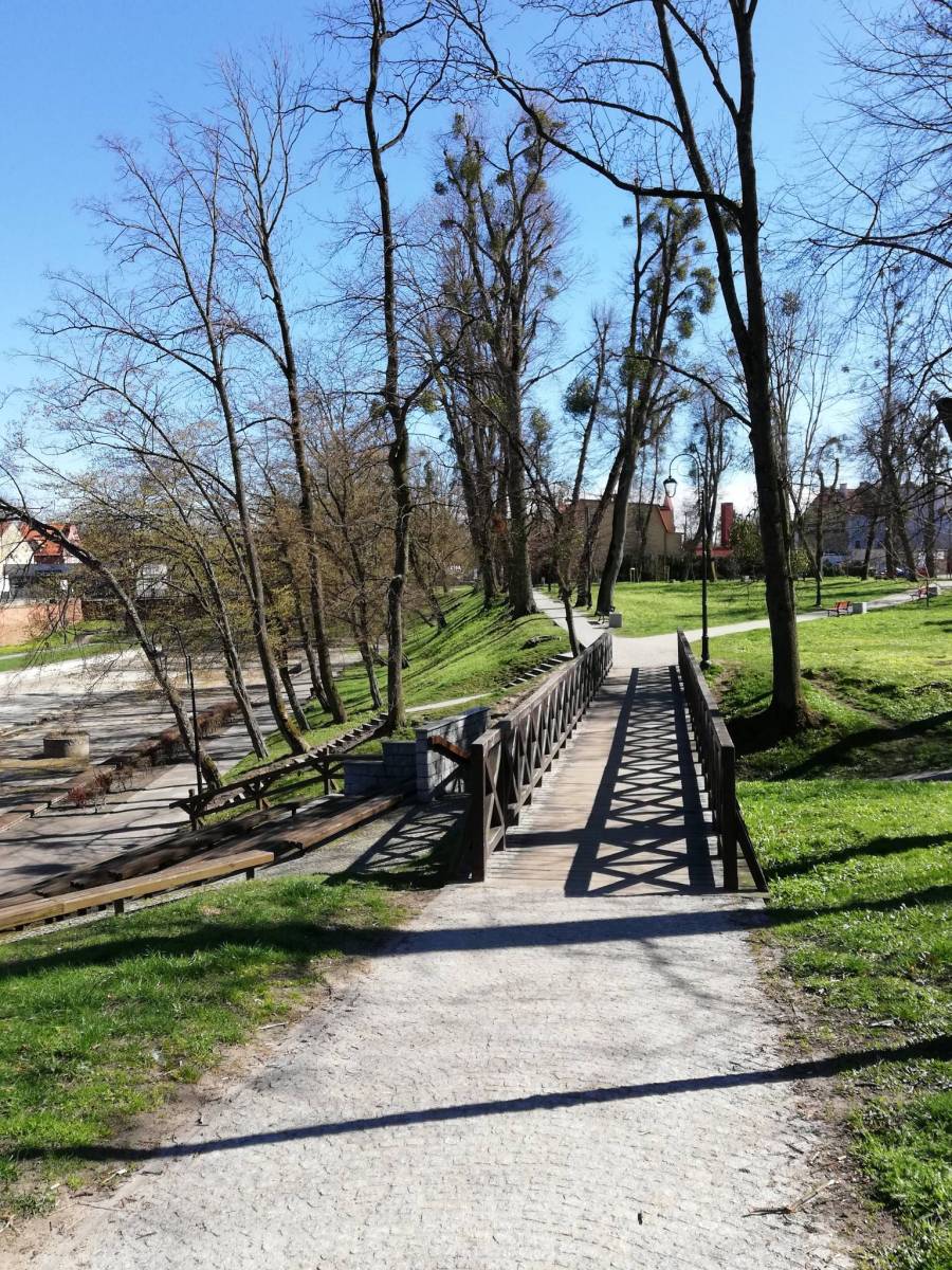 Zdjęcie 5