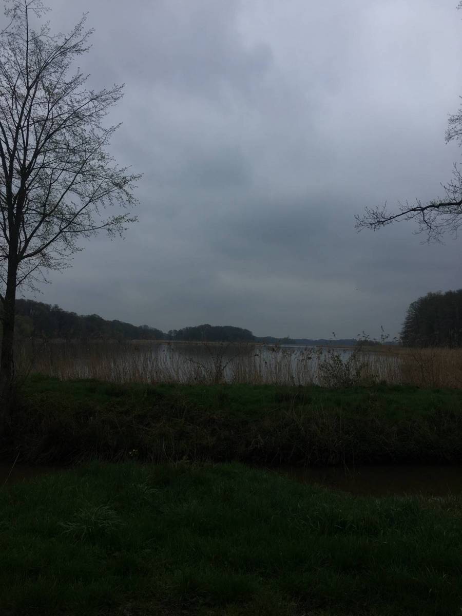 Zdjęcie 6