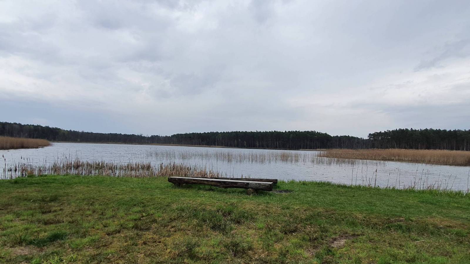 Zdjęcie 3