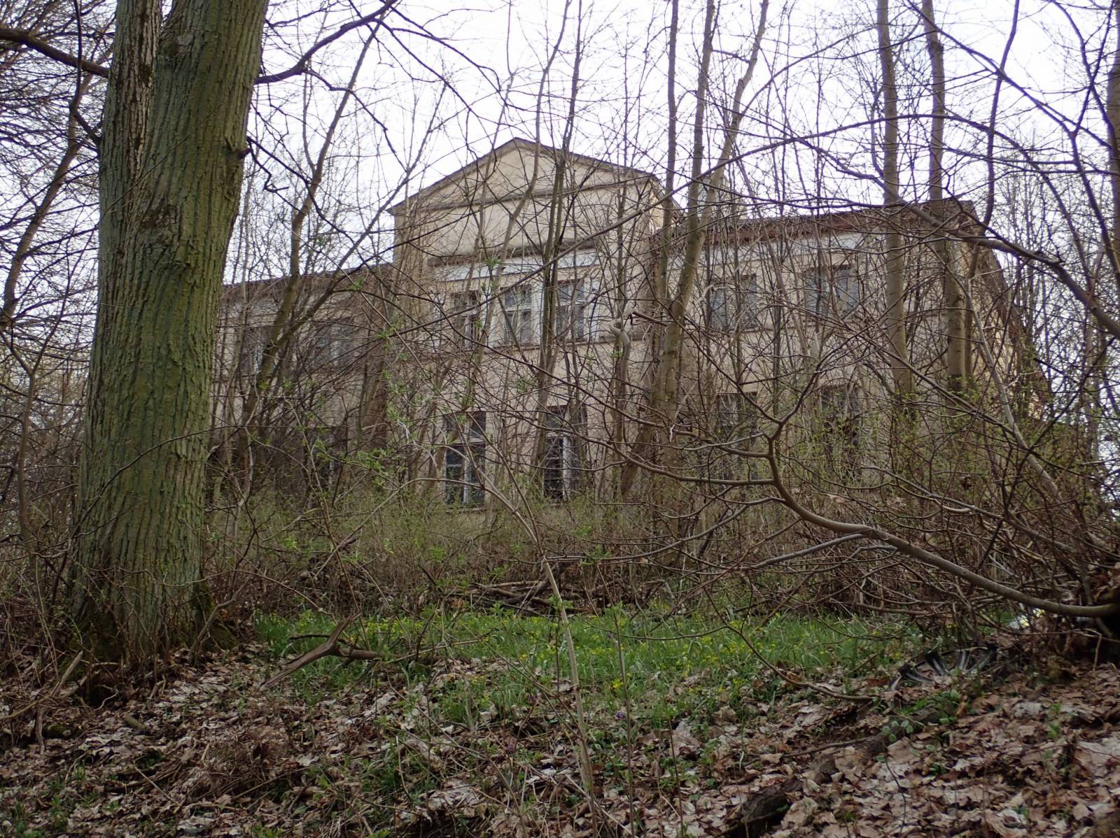 Zdjęcie 6
