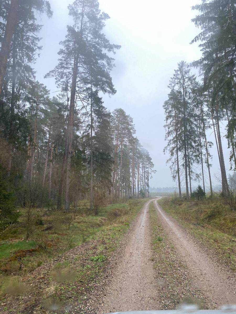 Zdjęcie 6