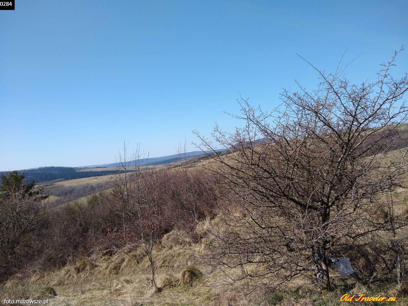 Zdjęcie 6