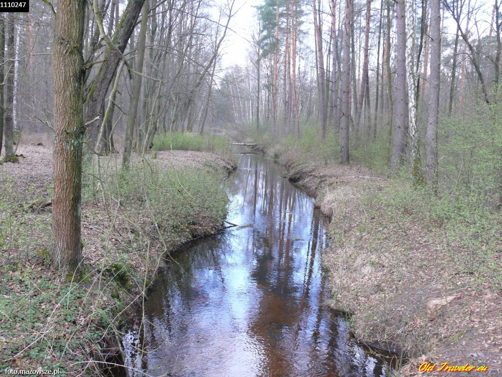 Zdjęcie 2