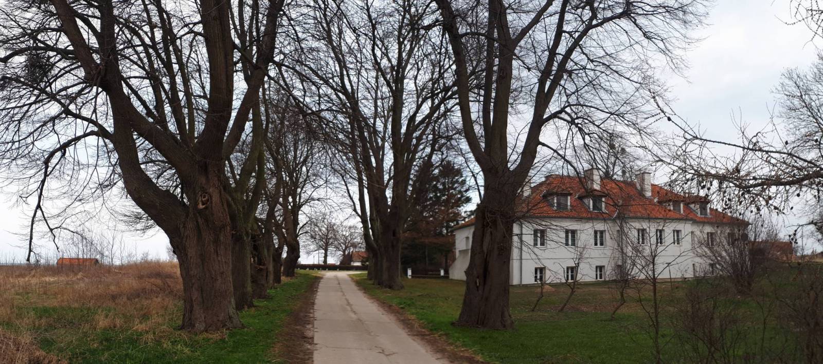 Zdjęcie 3